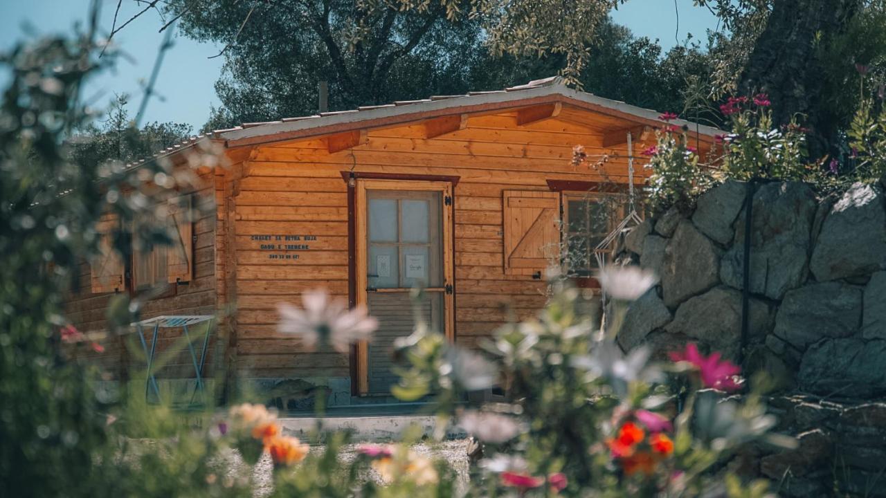 Chalet Sa Petra Ruja - Gadu E Tremene سينيسكولا المظهر الخارجي الصورة